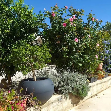 Lovely In Tribunj With Wifi Tribalj