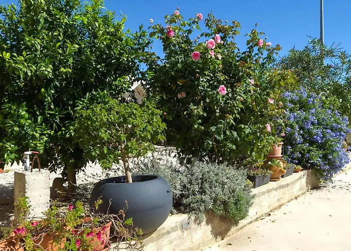 Lovely In Tribunj With Wifi Tribalj